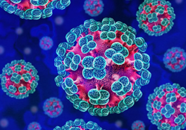 hantavirus